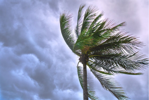 Prepare for Hurricane Season - Home Insurance Florida