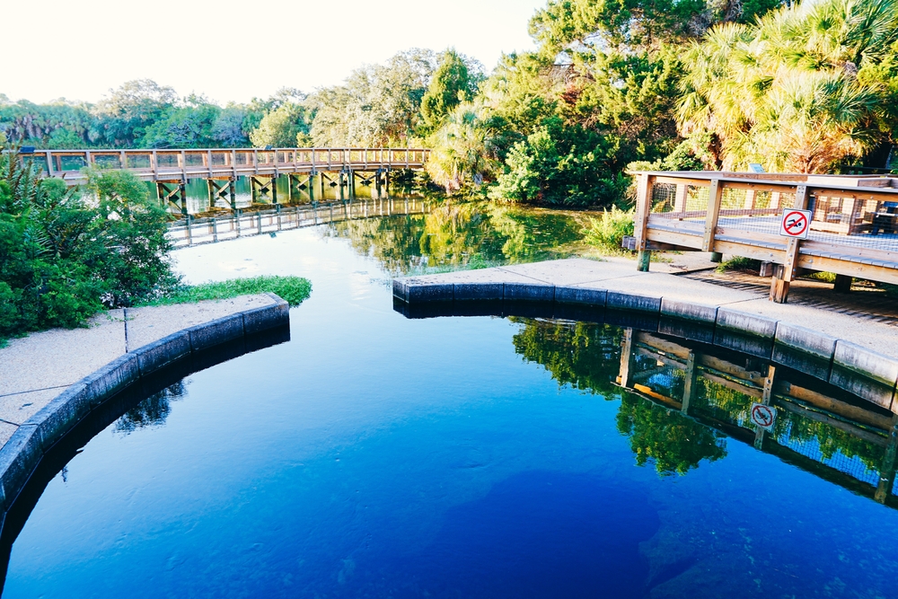 shutterstock 2529485995