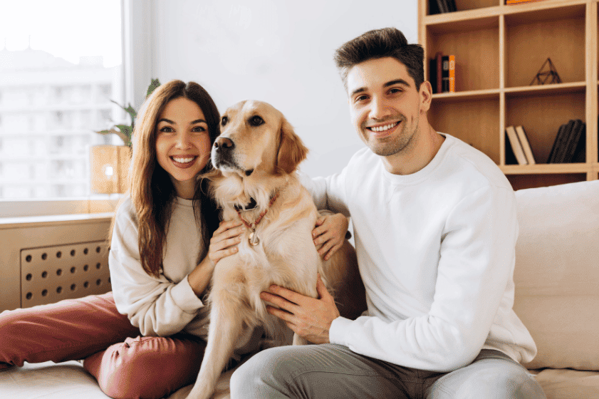 Dog Breed Insurance Requirements