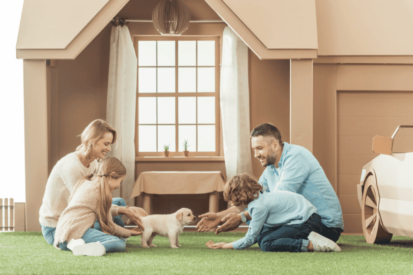 Home Insurance Guide For Dogs