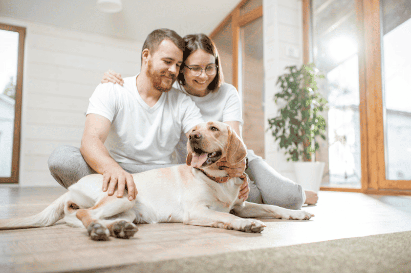 Windermere Pet Liability Coverage
