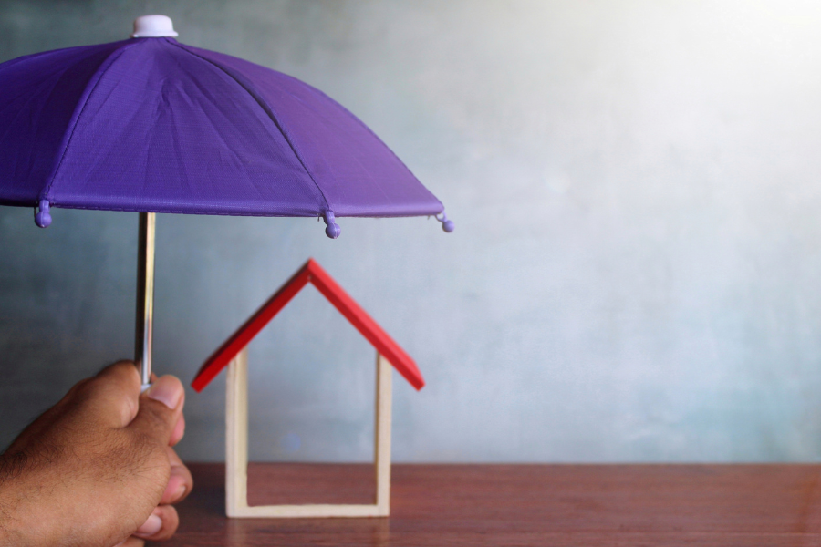 Comparing Home Insurance Policies in Florida